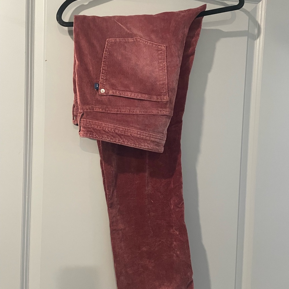 Pilcro Corduroy Pants in light Rust Red pink Anthropologie 31